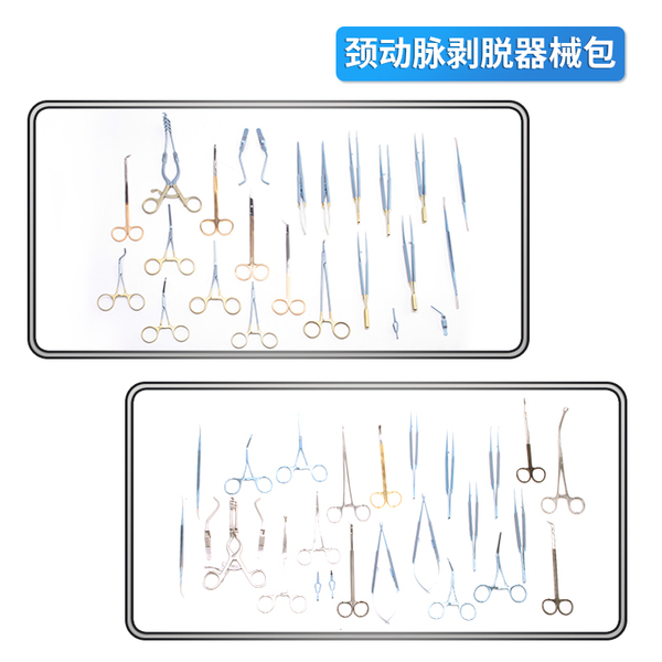 頸動脈2.jpg