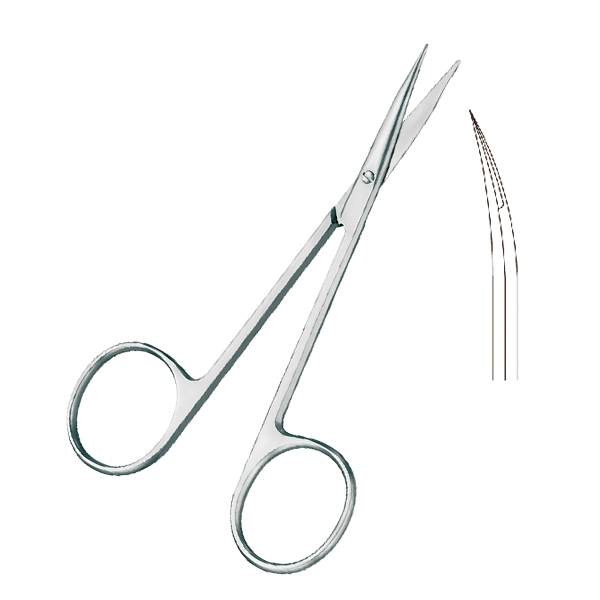 不銹鋼彎尖頭解剖剪