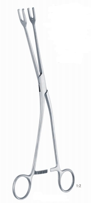 双爪前列腺组织钳