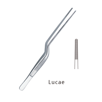 Lucae直头有齿枪状镊